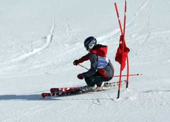 Alpsko smučanje, državno prvenstvo za OŠ s prilagojenim programom