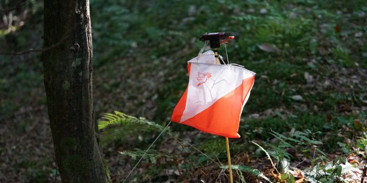 Šolsko državno prvenstvo v orientacijskem teku – ŠTARTNE LISTE