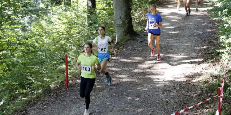 Gorski tek – DP za OŠ in SŠ – FOTOGALERIJA in REZULTATI